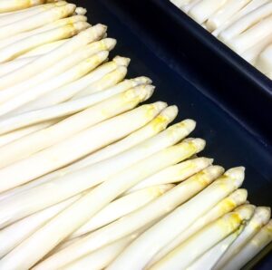 Spargel